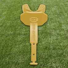 Load image into Gallery viewer, PRO Mouth Guard